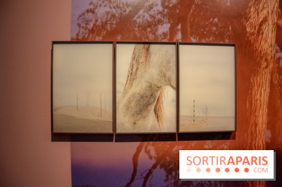 Hit The Road, l'exposition au Leica Store