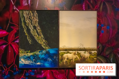 Hit The Road, l'exposition au Leica Store