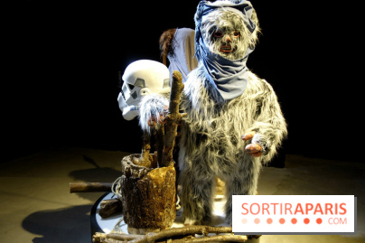 Album photos : Exposition Star Wars à Paris , Les fans contre attaquent