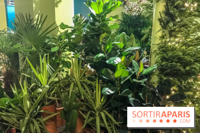 Bergamotte, le lieu de vie dédié au végétal