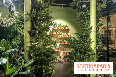 Bergamotte, le lieu de vie dédié au végétal