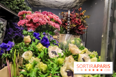 Bergamotte, le lieu de vie dédié au végétal