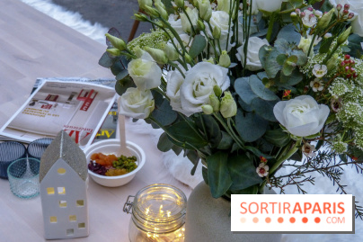 Terrasse scandinave au Grand Palais des Glaces 2018