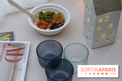 Terrasse scandinave au Grand Palais des Glaces 2018