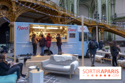 Terrasse scandinave au Grand Palais des Glaces 2018