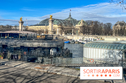 visuel Paris visuel  - quai de Seine - grand palais