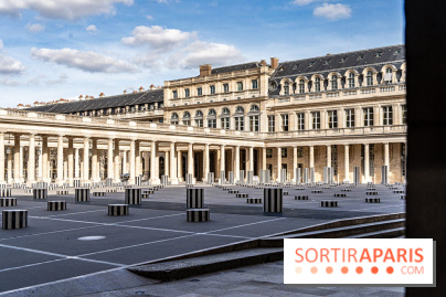 visuel Paris visuel  -  palais royal - colonnes de buren