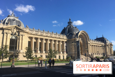 Visuel Paris Petit Palais