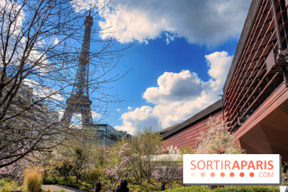Visuel Paris, tour eiffel - Musée du Quai Branly