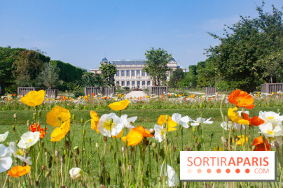 Visuel jardin des plantes Paris