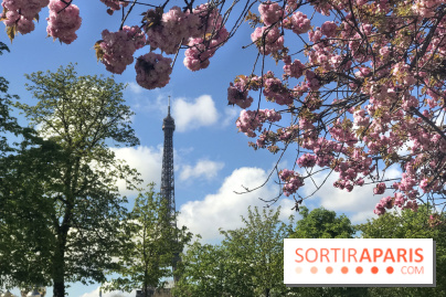 Visuel Paris, Tour Eiffel printemps