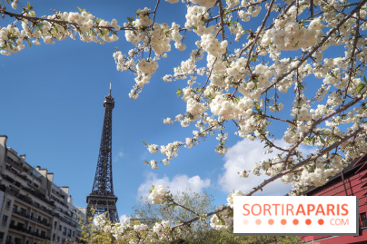 Visuel Paris, Tour Eiffel printemps