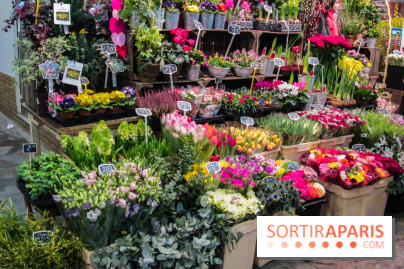 Visuel Paris marché d'Aligre fleurs
