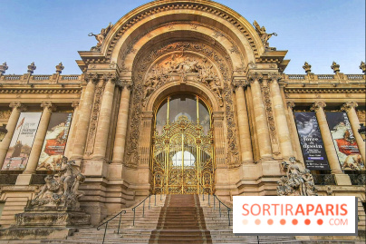 Visuel Paris Petit palais