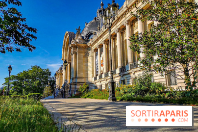 Visuel Paris Petit Palais