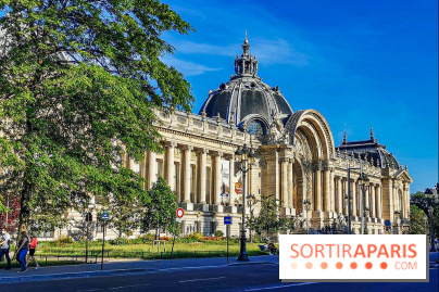 Visuel Paris Petit palais