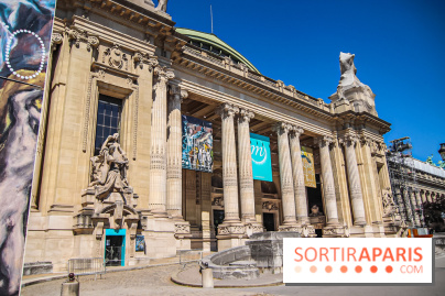 Visuel Paris Grand Palais