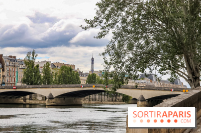 Visuel Paris Seine pont