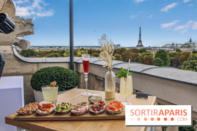 Visuel Paris Tour Eiffel rooftop Crillon