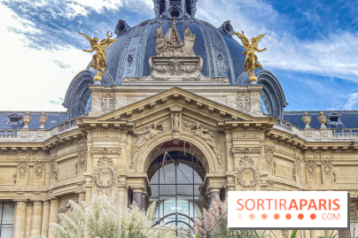 Visuel Paris Petit Palais