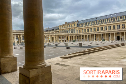 Visuel Paris vide confinement Palais Royal