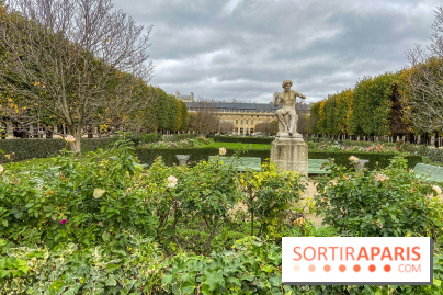 Visuel Paris vide confinement Palais Royal