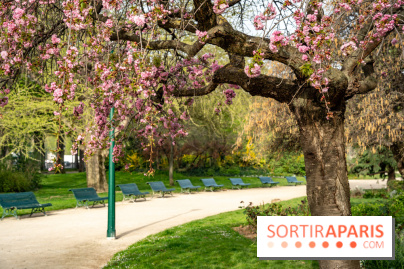Visuel Paris arbres en fleurs, jardins, parc
