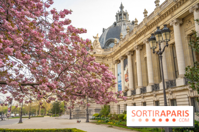 Mai Paris Les Jolies Expositions Voir Dans La Capitale Et En