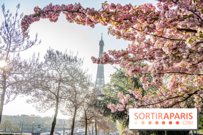 Visuel Paris Tour Eiffel cerisiers en fleurs
