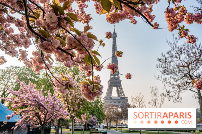 Visuel Paris Tour Eiffel cerisiers en fleurs