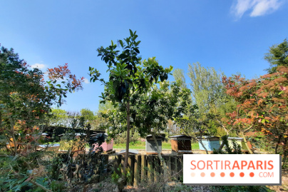 Visuel Paris - rucher