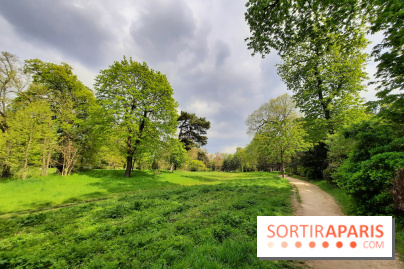 Visuel Paris - Bois de Boulogne - nature - verdure
