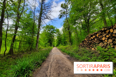 Visuel Paris balade forêt île de france