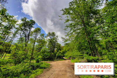 Visuel Paris balade forêt île de france