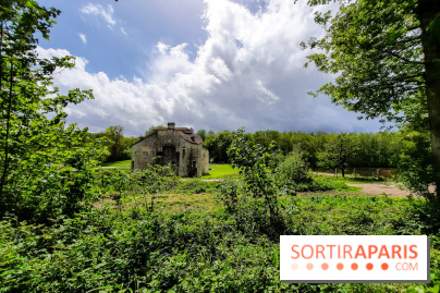 Visuel Paris balade forêt île de france