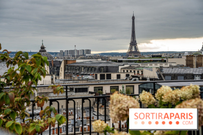 Visuel ParisTour Eiffel ciel gris