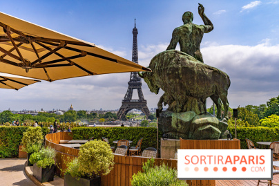 visuel Paris visuel  -  Tour Eiffel - terrasse - café