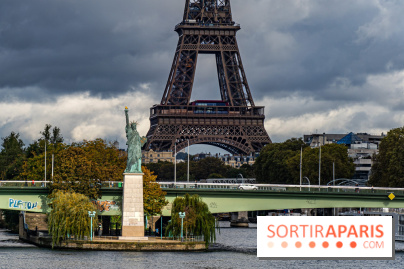 visuel Paris visuel  -  ile aux cygnes - statue de la liberté - temps gris