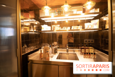 Brach Paris, l'hôtel signé Starck dans le 16e