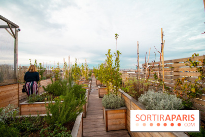 Brach Paris, l'hôtel signé Starck dans le 16e