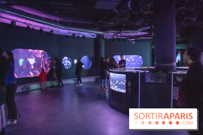 L'Aquarium de Paris ouvre son Médusarium