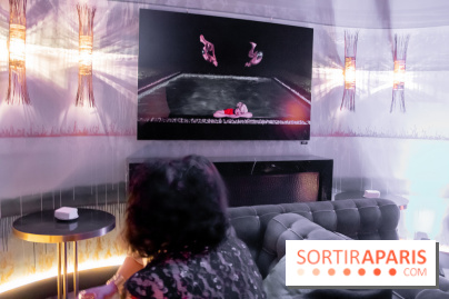 Plaisirs Évanouis, l'exposition au Nolinski