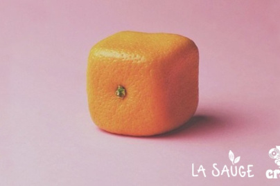 Cracki et La Sauge : Open Air #6 à la Prairie du Canal 