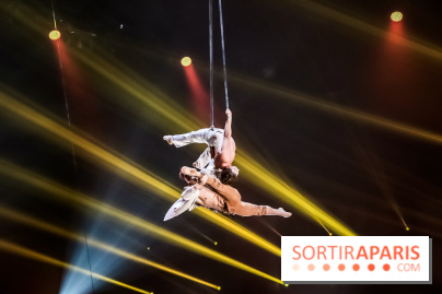 Les photos du Festival du Cirque de Demain 2019