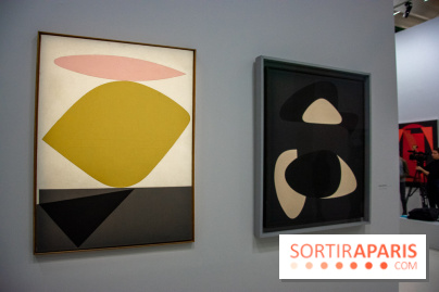 Exposition Vasarely Centre Pompidou, nos photos