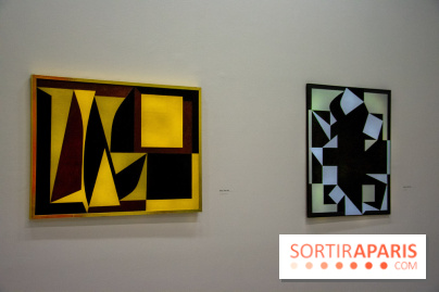 Exposition Vasarely Centre Pompidou, nos photos