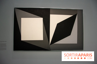 Exposition Vasarely Centre Pompidou, nos photos