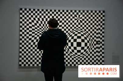 Exposition Vasarely Centre Pompidou, nos photos