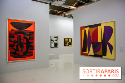 Exposition Vasarely Centre Pompidou, nos photos