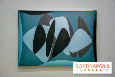 Exposition Vasarely Centre Pompidou, nos photos